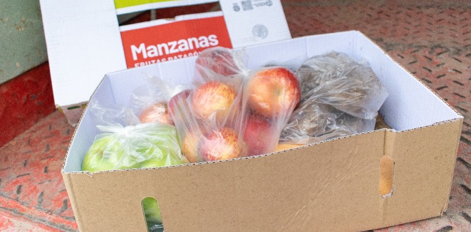 Comenzó la entrega de frutas y verduras frescas a familias rionegrinas